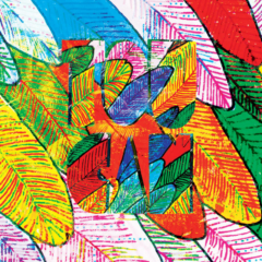 Studio Album, 2024 - <a href="https://jackdupon.bandcamp.com/album/toucan" target="_blank">available on Bandcamp</a> Album Toucan 2024 - <a href="https://jackdupon.bandcamp.com/album/toucan" target="_blank">disponible sur Bandcamp</a>